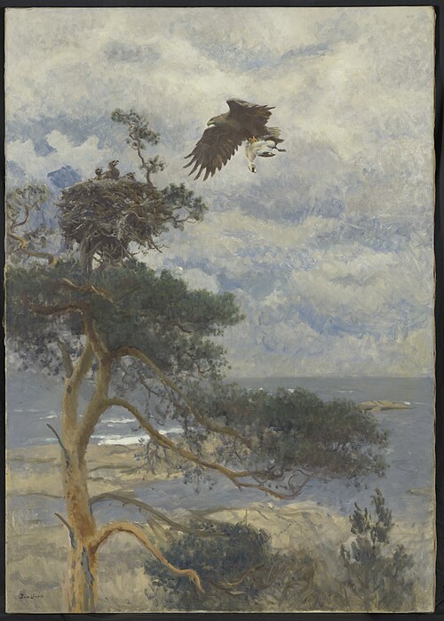 Zeearend met eidereend-woerd als prooi bij zijn nest aan de kust, 1907, Bruno Liljefors