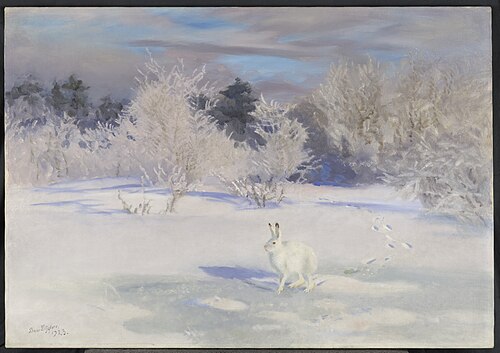 Winterlandschap met sneeuwhaas, 1923, Bruno Liljefors