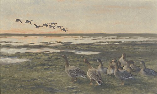 Neerstrijkende rietganzen bij zonsondergang, 1921, Bruno Liljefors