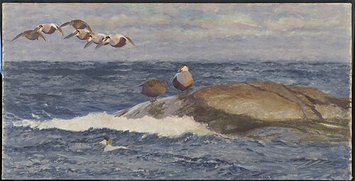 Eidereenden boven woelige zee, 1912, Bruno Liljefors