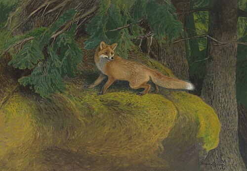 Vos achtervolgd door brakken, 1899, Bruno Liljefors
