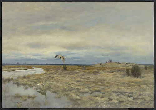 Two curlews in a peat landscape, 1927, Bruno Liljefors