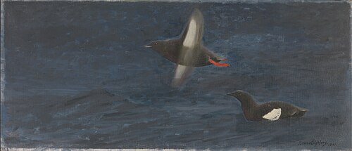 Dovekies, 1901, Bruno Liljefors