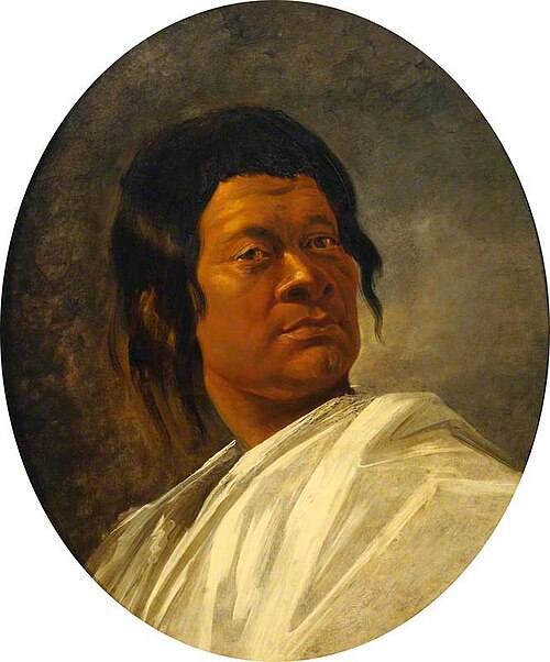Omai, a Polynesian, 1775, William Hodges
