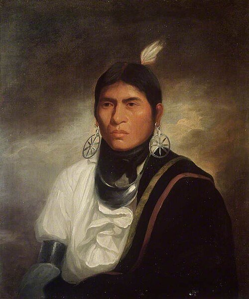 Portrait of a Cherokee Indian, , William Hodges