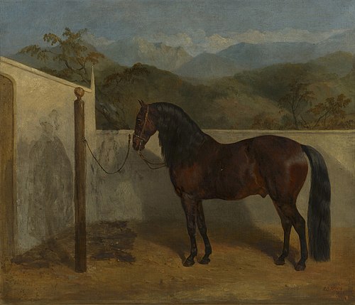 Malpeinado, 1846, Richard Barrett Davis