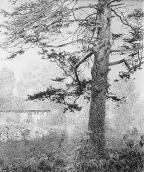 Octobre, le vieil arbre, , Emile Claus