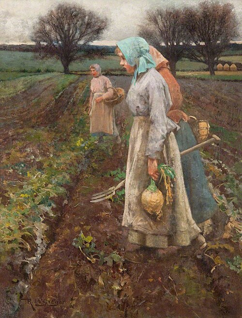 The Turnip Field, 1880, Robert McGregor