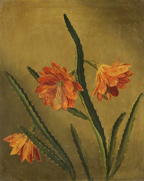 Study of Flowers, , Rolinda Sharples