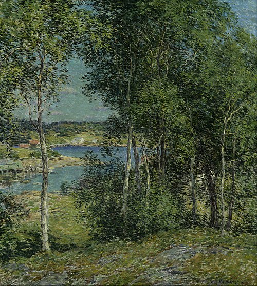 A Family of Birches, 1907, Willard Metcalf