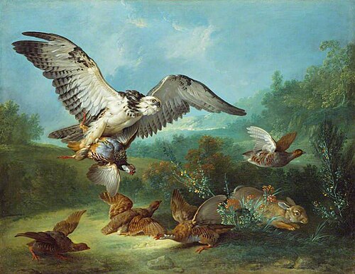 Hawk Attacking Partridges and a Rabbit, 1747, Jean-Baptiste Oudry
