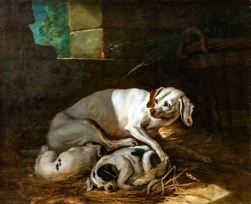 Chienne allaitant ses petits, 1754, Jean-Baptiste Oudry
