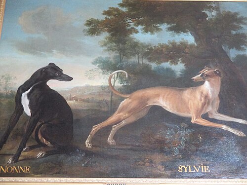 Mignonne et Sylvie, levrettes de la meute de Louis XV, 1728, Jean-Baptiste Oudry