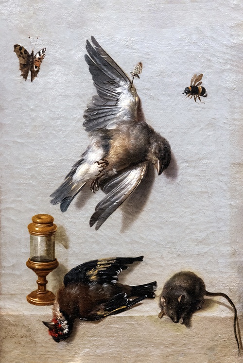 Nature morte avec deux oiseaux morts, une souris et trois insectes, 1712, Jean-Baptiste Oudry