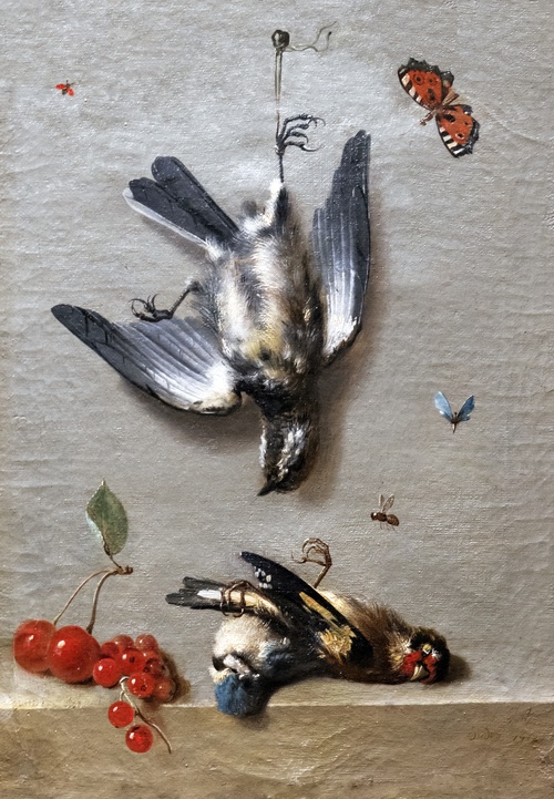 Nature morte aux trois oiseaux morts, aux groseilles, aux cerises et aux insectes, 1712, Jean-Baptiste Oudry