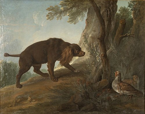 Spaniel Pointing Partridge, 1742, Jean-Baptiste Oudry