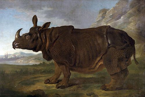 Le Rhinocéros, 1749, Jean-Baptiste Oudry