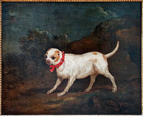 Carlin paré d'un ruban rouge, 1730, Jean-Baptiste Oudry