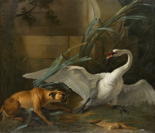 Swan Attacked by a Dog, 1745, Jean-Baptiste Oudry