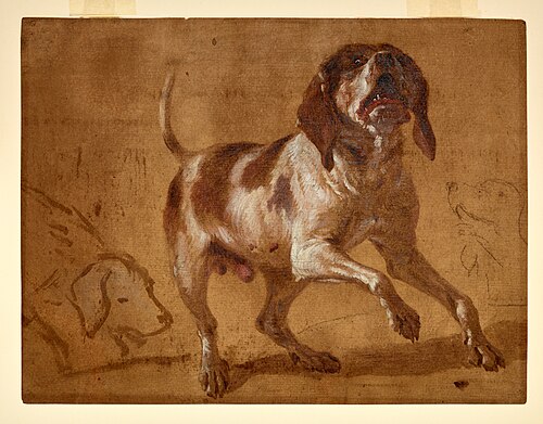 Study of a Hound Baying, , Jean-Baptiste Oudry