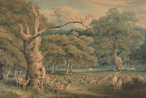 Hearne's Oak, Windsor Forest, , William-Samuel Howitt