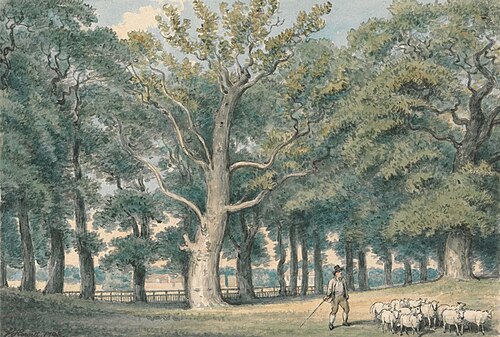 A Park Landscape with Shepherd and Sheep, 1793, William-Samuel Howitt