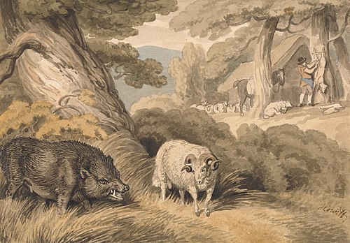 A Boar and a Ram, , William-Samuel Howitt