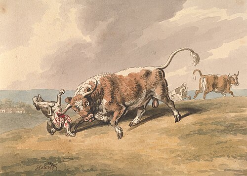 A Bull Attacking a Dog, , William-Samuel Howitt
