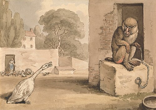 A Goose and a Baboon, , William-Samuel Howitt