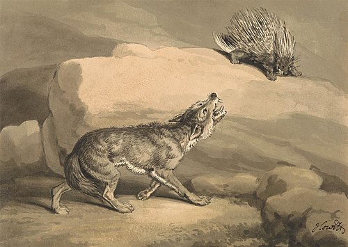 Fox and the Hedgehog (Porcupine), , William-Samuel Howitt
