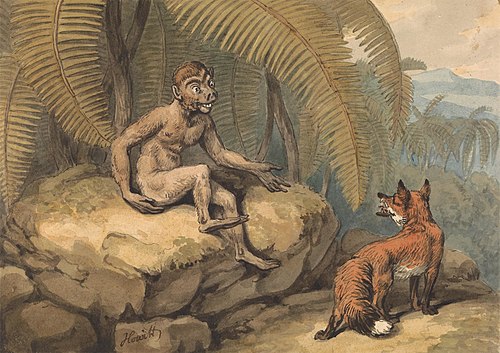 A Monkey and a Fox, , William-Samuel Howitt