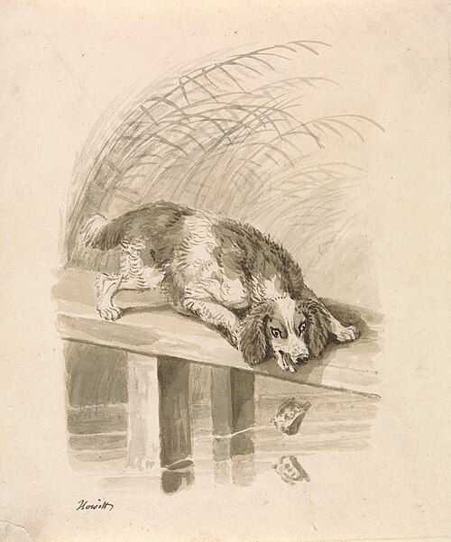 The Dog and The Shadow, , William-Samuel Howitt