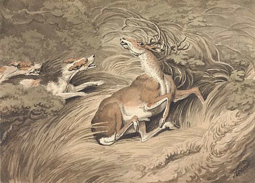 Two Hounds Attacking a Stag at Bay, , William-Samuel Howitt