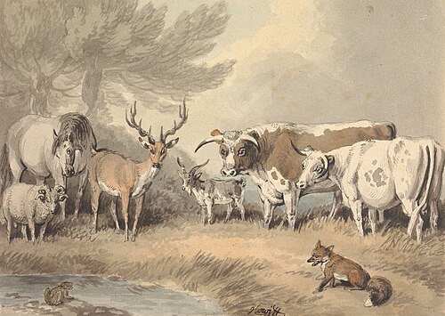 A Frog Confronting a Circle of Animals, , William-Samuel Howitt