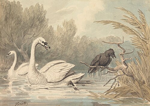 A Raven and Two Swans, , William-Samuel Howitt