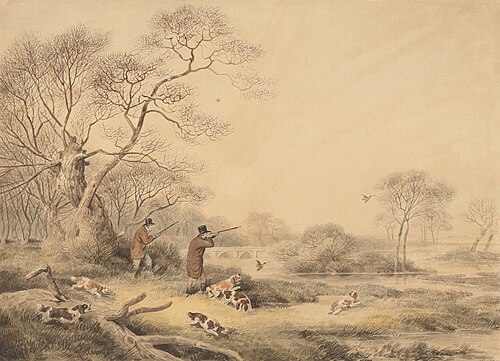 Snipe Shooting, , Samuel Howitt