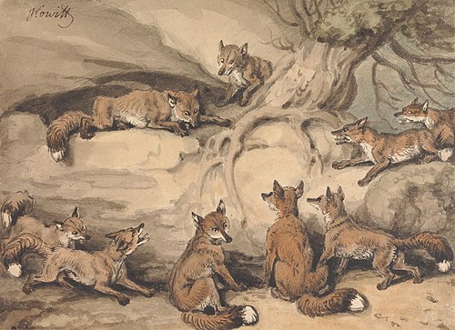 Nine Foxes Gathered Around a Tree: an Illustration of Aesop's Fable, "The Fox who Lost His Tail", , Samuel Howitt