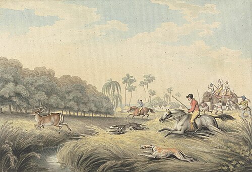 Hunting a Hog-Deer: plate 24 for "Oriental Field Sports", 1805, Samuel Howitt
