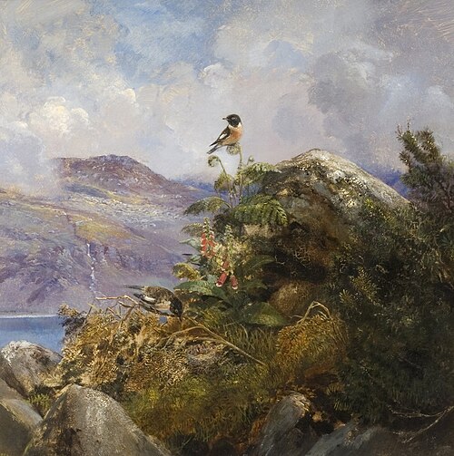 Stonechat on a Cairn, 1861, Samuel Lucas