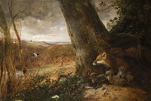 Foxes, , Samuel Lucas
