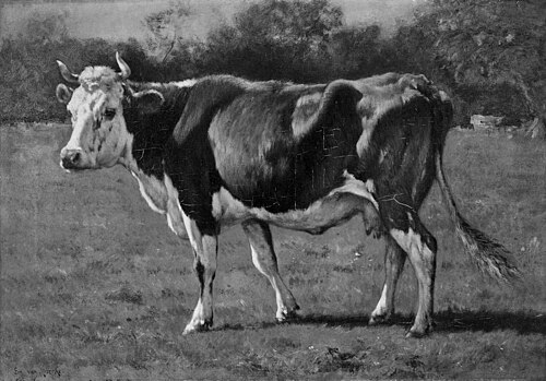 Study of a Cow, 1880, Émile van Marcke