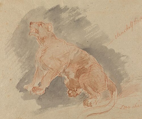 Study of a tiger, , Sawrey Gilpin