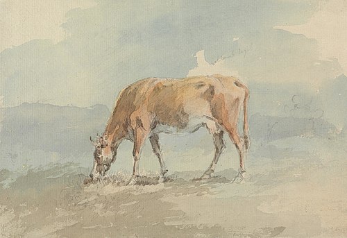 Cow Grazing, , Sawrey Gilpin