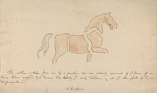 Disproportioned Horse Drawing, 1760, Sawrey Gilpin