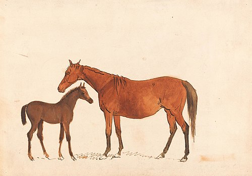 Chestnut Mare and Foal, , Sawrey Gilpin