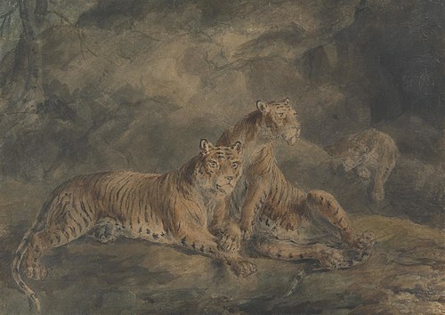 Three Tigers in a Rocky Landscape, , Sawrey Gilpin