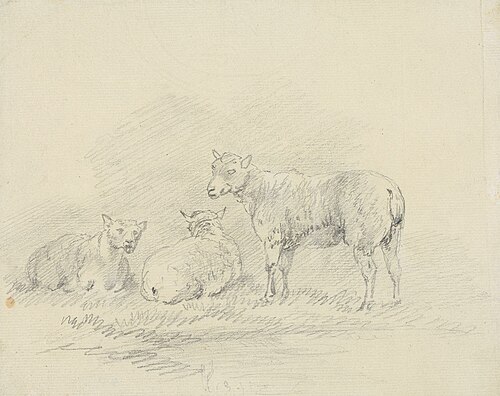 Three Sheep, , Sawrey Gilpin