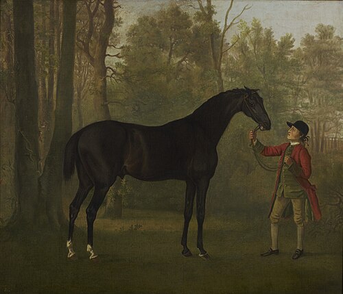 Portrait of a Horse, 1762, Sawrey Gilpin