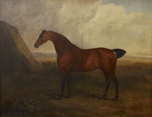 A Bay Gelding, 1800, Sawrey Gilpin