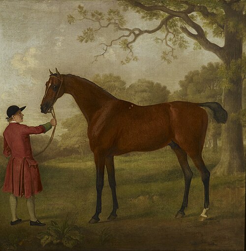 Portrait of a Horse, 1762, Sawrey Gilpin